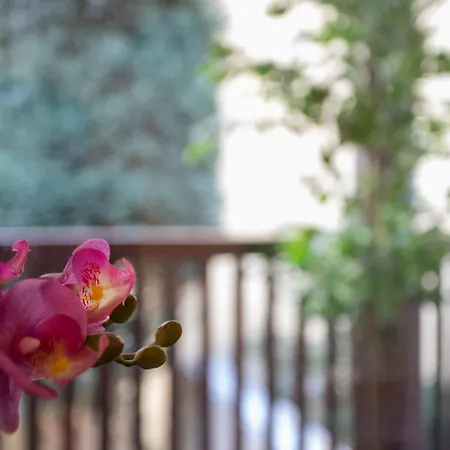 Old Town Apartman