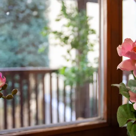Apartman Old Town