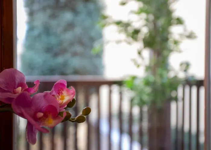 Old Town Apartamento